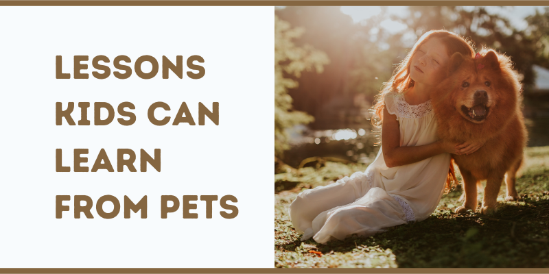 Lessons Kids Can Learn From Pets